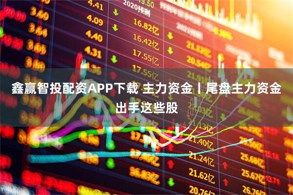 鑫赢智投配资APP下载 主力资金丨尾盘主力资金出手这些股