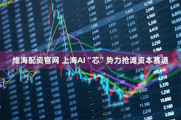 维海配资官网 上海AI“芯”势力抢滩资本赛道