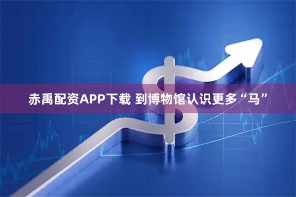 赤禹配资APP下载 到博物馆认识更多“马”